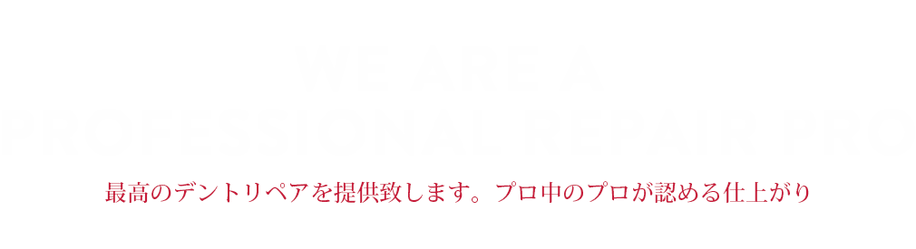 WE ARE A PROFESSIONAL REPAIR PRO 最高のデントリペアを提供致します。プロ中のプロが認める仕上がり